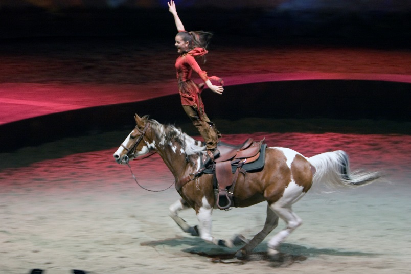 An Acrobatic equestrian act in Cavalia.